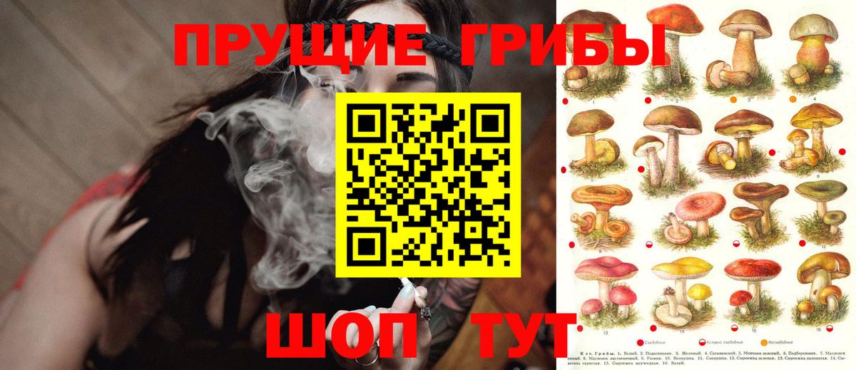 Галлюциногенные грибы мицелий  Псилоцибиновые грибы Magic Shrooms  Лобня  Вход с VPN 